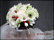 www.floristic.ru - . .....