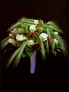 www.floristic.ru - . -...