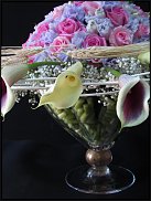 www.floristic.ru - Флористика. Колоски-колосочки...