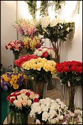 www.floristic.ru - . 