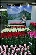 www.floristic.ru - . 