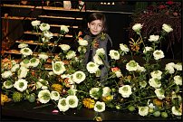 www.floristic.ru - .       "  "   13.11.2010