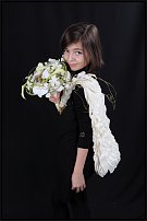 www.floristic.ru - .       "  "   13.11.2010