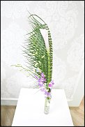 www.floristic.ru - .      