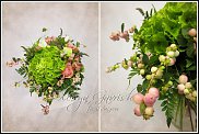 www.floristic.ru - . Snowberry -  (Symphoricarpos albus)