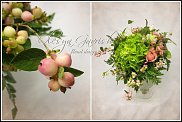 www.floristic.ru - . Snowberry -  (Symphoricarpos albus)