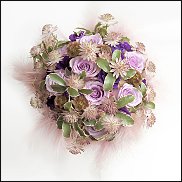 www.floristic.ru - .  (Astrantia)