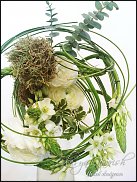 www.floristic.ru - . ,  (Ornitogalum)