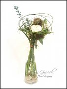 www.floristic.ru - . ,  (Ornitogalum)