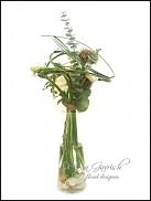 www.floristic.ru - . ,  (Ornitogalum)