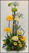 www.floristic.ru - .  (. Agapanthus)