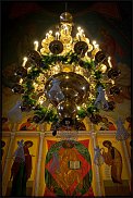 www.floristic.ru - .  
