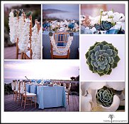 www.floristic.ru - . ́ (Succulentus)