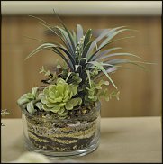 www.floristic.ru - .  !