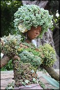 www.floristic.ru - . ́ (Succulentus)