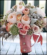 www.floristic.ru - . ́ (Succulentus)