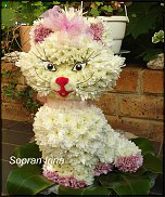 www.floristic.ru - .   ....