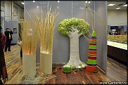 www.floristic.ru - . .      .