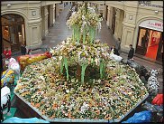 www.floristic.ru - . .      .