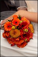 www.floristic.ru - .  .