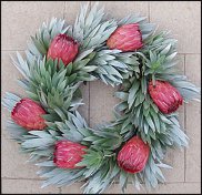 www.floristic.ru - . (Protea)