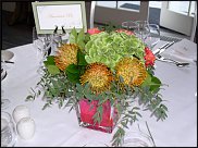 www.floristic.ru - . (Protea)