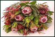 www.floristic.ru - . (Protea)