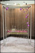 www.floristic.ru - . 17-     - 2010 