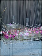 www.floristic.ru - . 17-     - 2010 