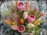 www.floristic.ru - . (Protea)