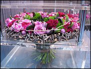 www.floristic.ru - . 17-     - 2010 