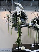 www.floristic.ru - . 17-     - 2010 