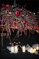 www.floristic.ru - .       "  "   13.11.2010