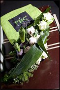 www.floristic.ru - .    ...