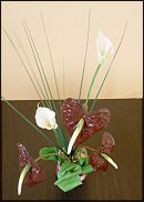 www.floristic.ru - .      