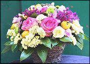 www.floristic.ru - . ,  .