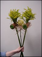 www.floristic.ru - .    