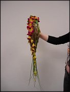 www.floristic.ru - .    