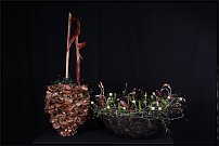 www.floristic.ru - .       "  "   13.11.2010