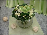 www.floristic.ru - .    