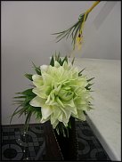 www.floristic.ru - .    