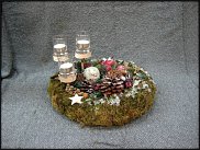 www.floristic.ru - .  (. Bryophyta)