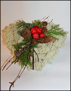 www.floristic.ru - .  (. Bryophyta)