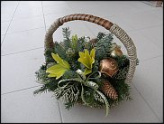 www.floristic.ru - .  ,   ..  .