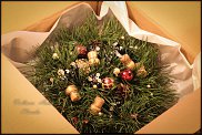 www.floristic.ru - .  ,   ..  .