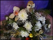 www.floristic.ru - .  ,   ..  .