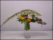 www.floristic.ru - .    