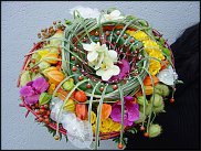 www.floristic.ru - . 