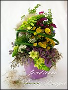 www.floristic.ru - . ,  (Ornitogalum)