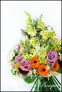 www.floristic.ru - . ,  (Ornitogalum)